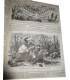 La Chasse Illustrée, journal des chasseurs et la Vie à la campagne 1875, 8e année - journaux anciens, animaux sauvages,
