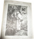 La Chasse Illustrée, journal des chasseurs et la Vie à la campagne 1875, 8e année - journaux anciens, animaux sauvages,