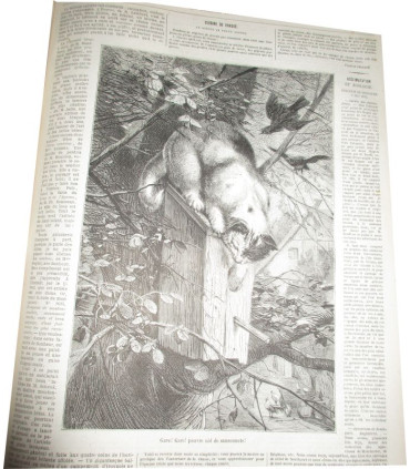La Chasse Illustrée, journal des chasseurs et la Vie à la campagne 1875, 8e année - journaux anciens, animaux sauvages,