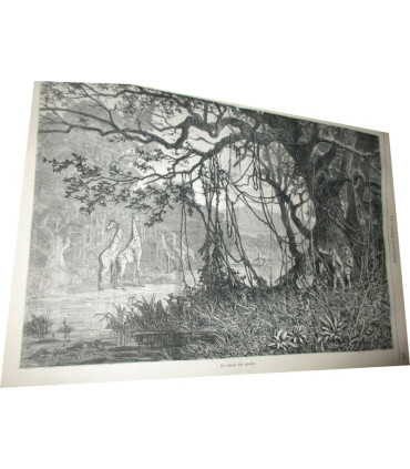 La Chasse Illustrée, journal des plaisirs de la ferme et du château 1867-1868 1e année - animaux sauvages