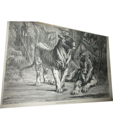 La Chasse Illustrée, journal des plaisirs de la ferme et du château 1867-1868 1e année - animaux sauvages