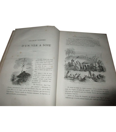 Vie publique et privée des animaux scènes de moeurs, 1ère partie et début 2e, P.J. Stahl, vignettes Grandville 1840-1841 - rare!