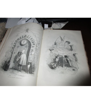 Vie publique et privée des animaux scènes de moeurs, 1ère partie et début 2e, P.J. Stahl, vignettes Grandville 1840-1841 - rare!