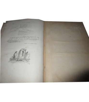 Vie publique et privée des animaux scènes de moeurs, 1ère partie et début 2e, P.J. Stahl, vignettes Grandville 1840-1841 - rare!
