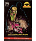 Fledermaus, nr. 433, G.W. Jones, Im Schatten der Angst,  Pabel Krimi -  Kriminal Heftromane