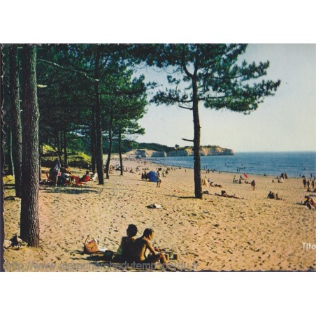 Saint-Georges-de-Didonne, la pointe de Suzac - carte postale Charente Maritime 17, Tito