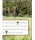 L'éléphant, images autocollantes, Nadine Saunier Marcelle Geneste, 2001 - livre d'images premier âge, littérature jeunesse