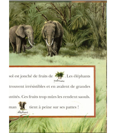L'éléphant, images autocollantes, Nadine Saunier Marcelle Geneste, 2001 - livre d'images premier âge, littérature jeunesse