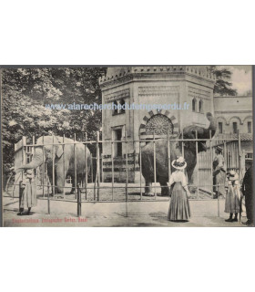 Suisse, maison des éléphants, Jardin zoologique Bâle, 1900 - Elephantenhaus, Zoologischer Garten, Basel - cartes postales Suisse