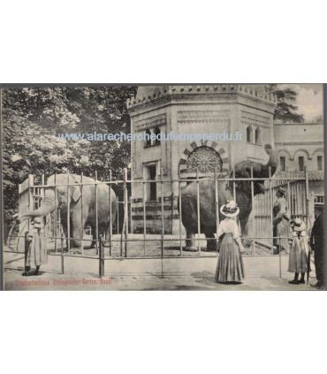 Suisse, maison des éléphants, Jardin zoologique Bâle, 1900 - Elephantenhaus, Zoologischer Garten, Basel - cartes postales Suisse