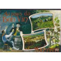 Sancerre, au pays du bon vin - carte postale vins, Cher 18, REC