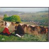 En Haut-Berry, sur les coteaux sancerrois - carte postale, vins, animaux, patois & folklore Cher 18, REC