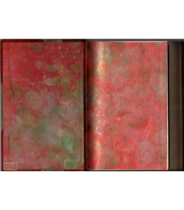 Goethe Gedichte, Theodor Friedrich, - Lederbindung, dos cuir, XVIIIe siècle, poésie, littérature allemande,