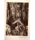 Amanit, T1, T2 et T3, Lucie Delarue-Mardrus - roman populaire, La Petite Illustration Roman N°190, N°191 et 192 1929