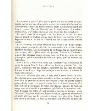 Fort Saganne, Louis Gardel, 1984 - cinéma, roman d'aventures