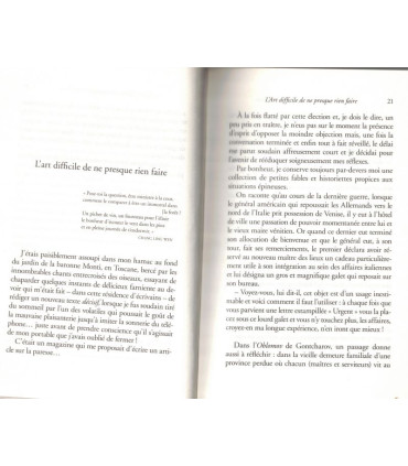 L'art difficile de ne presque rien faire, Denis Grozdanovitch, 2009 -