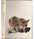 Le roman de Renard, Maurice Genevoix, 1963 -  fable Moyen Age, Collection Club de la Femme