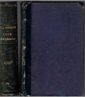 Reliure dos Cuir - Luke Delmege, âmes celtiques et âmes saxonnes, Patrick Augustine Sheehan, 1902 - Irlande