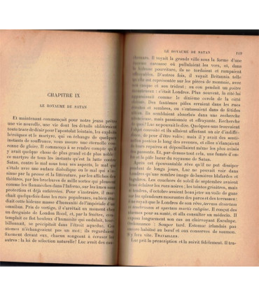 Reliure dos Cuir - Luke Delmege, âmes celtiques et âmes saxonnes, Patrick Augustine Sheehan, 1902 - Irlande