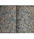 Reliure dos Cuir - Oh les hommes ! Journal d'une vieille fille, Jules Pravieux 1903 -