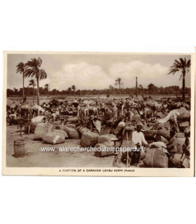 Carte postale Protectorat britannique d'Aden, A portion of a caravan Lehej, Aden, Arabia 1930 - Yémen, caravane tribu Lehej