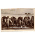 Carte postale Protectorat britannique d'Aden, Fruit market, Aden, Arabia, 1930 - Yémen, marché aux fruits