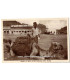 Carte postale Protectorat britannique d'Aden, Camel at rest after feeding Aden, Arabia 1930 - Yémen, chameau au repos