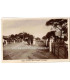 Carte postale Protectorat britannique d'Aden, Sheik Othman where the gardens are, 1930 - Yémen,