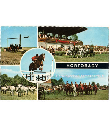 Hongrie, Hortobagy, timbre poste Magyar Posta 3 ft convoyeurs paquets - cartes postales, équitation, attelage hippomobile,