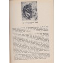 Leonardo Da Vinci, Meister der Kunst, Adolphe Bastler, Collection Braun - Peintres, Léonard de Vinci