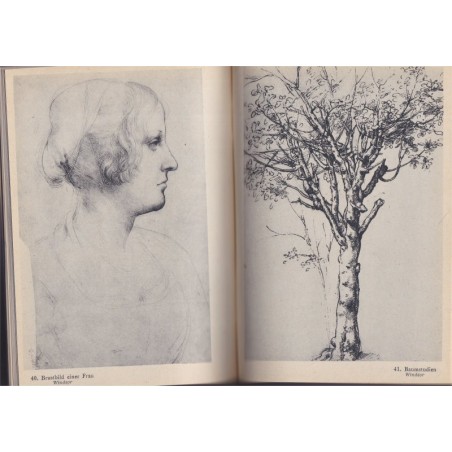 Leonardo Da Vinci, Meister der Kunst, Adolphe Bastler, Collection Braun - Peintres, Léonard de Vinci
