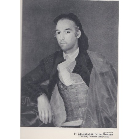 Goya, George Pillement - Collection des Maîtres, Braun, peintres