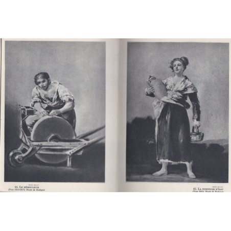 Goya, George Pillement - Collection des Maîtres, Braun, peintres