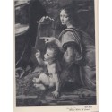 Léonard de Vinci, Adolphe Basler - Collection des Maîtres, Braun, peintres