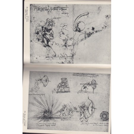 Léonard de Vinci, Adolphe Basler - Collection des Maîtres, Braun, peintres