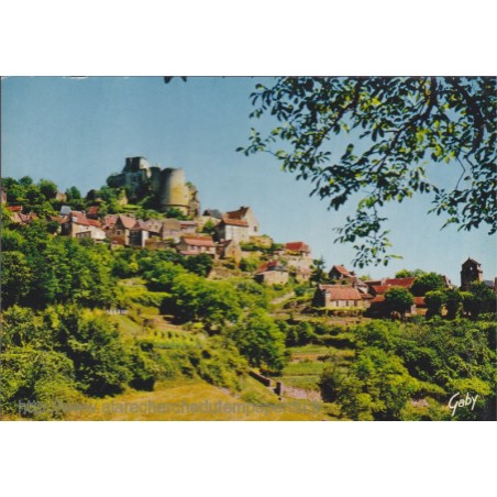 Château de Castelnaud - carte postale département 24 Dordogne
