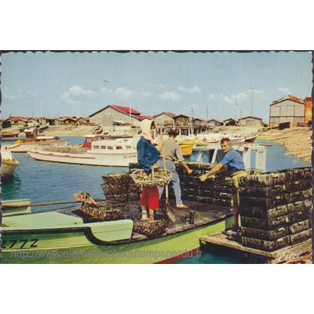 Bassin d'Arcachon, débarquement des huitres - carte postale département 33 Gironde, folklore, pêcheurs,