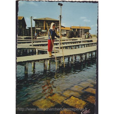 Bassin d'Arcachon, bassin d'affinage - carte postale département 33 Gironde, folklore