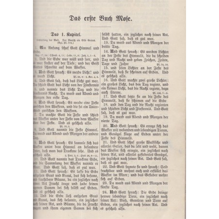 Die Bibel Heilige Schrift, Martin Luther, 1919 - Bible, religion, protestantisme, génaologie, Alsace