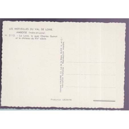 Amboise, la Loire, le château, le quai Charles Guinot - carte postale département 37 Indre-et-Loire