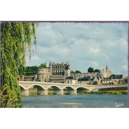 Amboise, la Loire, le pont, le château, la chapelle Saint-Hubert - carte postale département 37 Indre-et-Loire