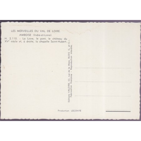 Amboise, la Loire, le pont, le château, la chapelle Saint-Hubert - carte postale département 37 Indre-et-Loire