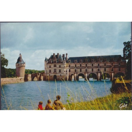 Chinon, le château dominant la Vienne - carte postale département 37 Indre-et-Loire