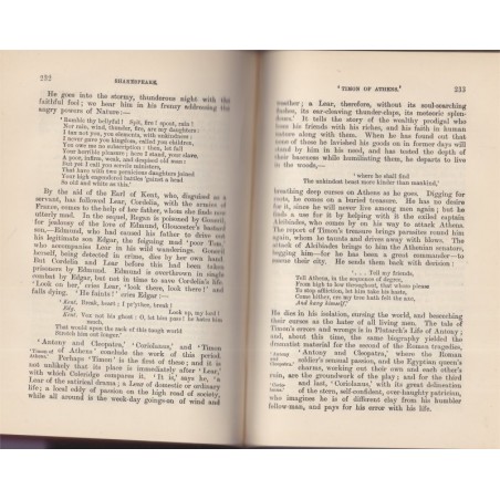 The intermidiate text-book of english literature, Wyatt and Low, 1907 - littérature anglaise, manuel de littérature anglaise