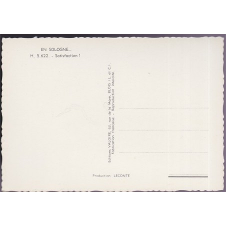 Chien en Sologne, satisfaction - carte postale département 41 Loir-et-Cher, animaux, chiens,