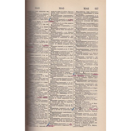 Nouveau dictionnaire français-portugais, Joa Fernandes Valdez, 1906 - manuels de portugais