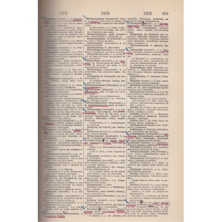 Nouveau dictionnaire français-portugais, Joa Fernandes Valdez, 1906 - manuels de portugais
