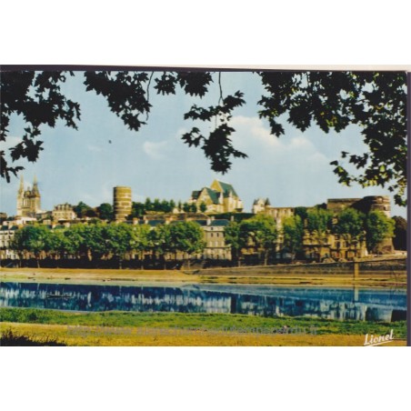 Angers, la cathédrale et le château surplombant la Maine - carte postale département 49 Maine-et-Loire