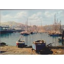 Cherbourg, le bassin des yachts et station de yachting - carte postale département 50 Manche, bateaux