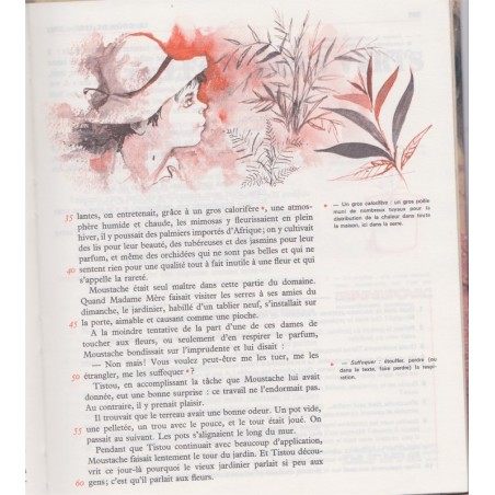 Le goût de lire, cours moyen première année 1976, Salandre Cheyssac Vandenbosch